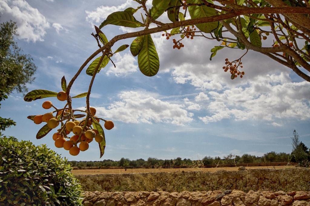 Finca Agroturismo Can Carro Campos  Eksteriør billede