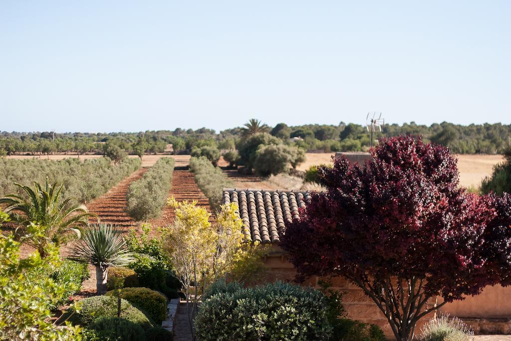 Finca Agroturismo Can Carro Campos  Eksteriør billede